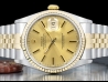 Rolex Datejust 36 Champagne Jubilee Crissy Dial 16233 